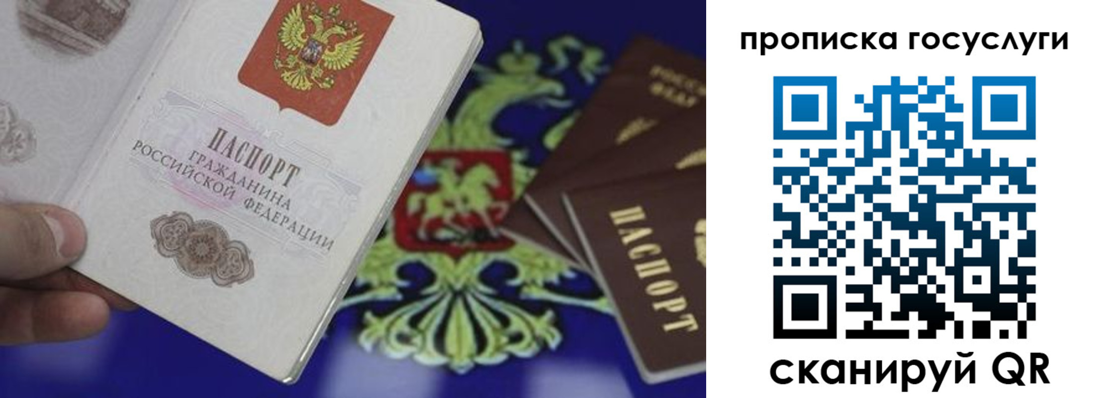 прописка для школы в Гуково